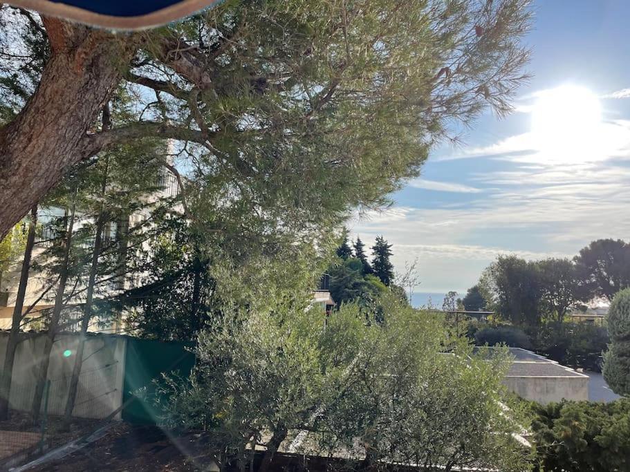 Cassis, Superbe Appartement Avec Terrasse Exteriör bild